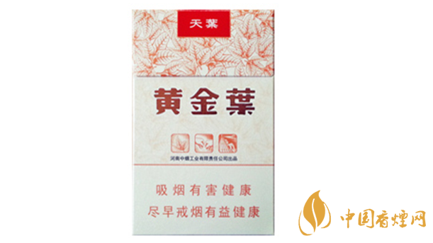 黃金葉天葉真?zhèn)卧趺幢鎰e？天葉真假如何看？