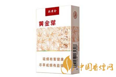 黃金葉軟黃金價(jià)格是多少 黃金葉軟黃金價(jià)格圖片一覽