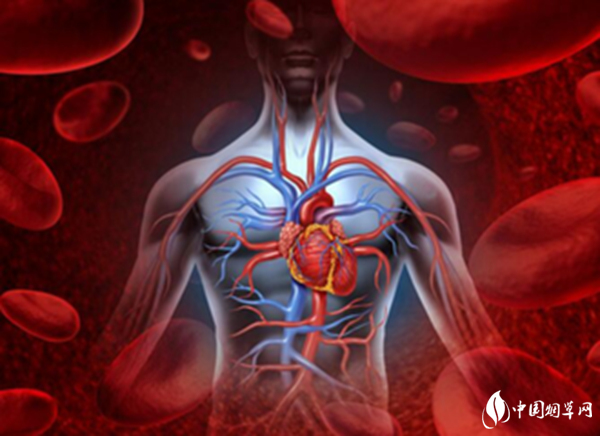 吸煙的危害性有哪些 關于吸煙對身體的危害信息