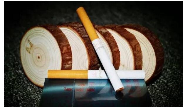 黃鶴樓游泳回歸，爺爺輩最喜愛的香煙品牌