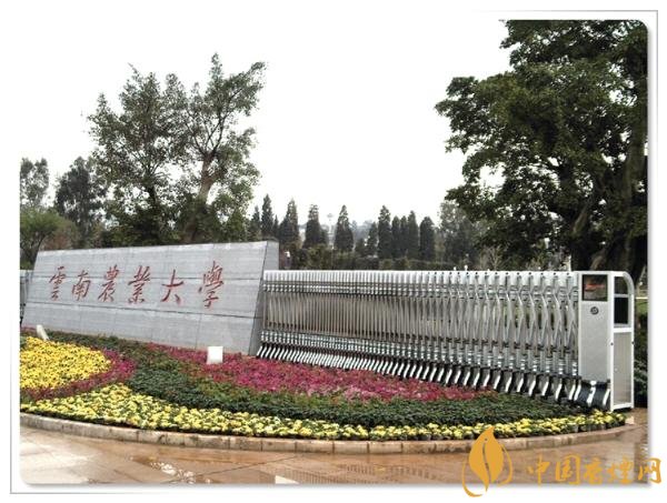 煙草專業(yè)大學(xué)排名，煙草專業(yè)就業(yè)前景好