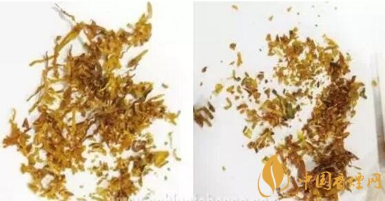 冬蟲夏草（和潤）真假鑒別，春節(jié)防止被騙