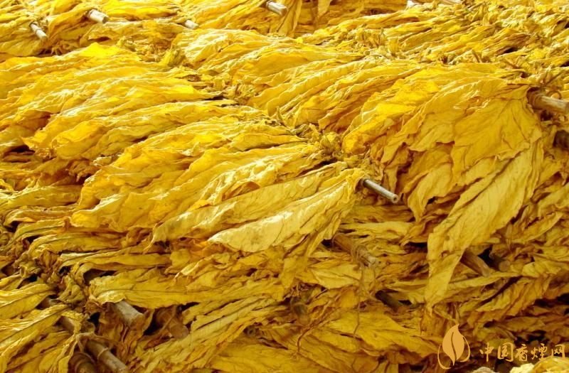 朱砂煙到底是什么煙，云煙朱砂煙有哪幾款