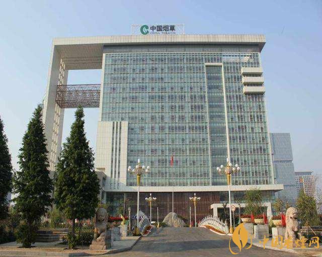 3.5億煙民1年為國家貢獻1.2億！專家：卷煙太便宜，要漲價